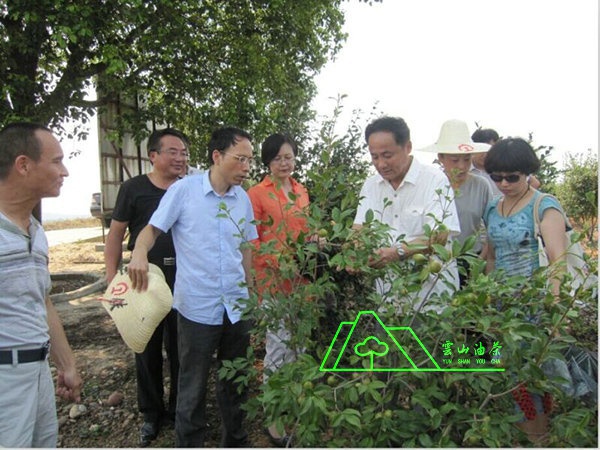 江西省油茶辦主任、工程師孫勇、省科技廳農(nóng)村工作處副處長、副調(diào)研員尹伊等基地指導工作